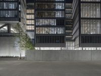 an empty room with stairs and a tree next to it, surrounded by buildings with windows