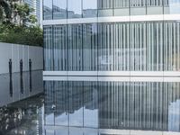 Modern Architecture in the City: Reflections in the Water