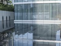 Modern Architecture in the City: Reflections in the Water