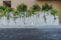 a wall with a planter by it on the pavement near the building with a concrete wall and green plants