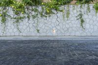 a wall with a planter by it on the pavement near the building with a concrete wall and green plants