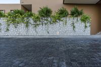 a wall with a planter by it on the pavement near the building with a concrete wall and green plants