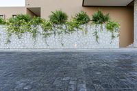 a wall with a planter by it on the pavement near the building with a concrete wall and green plants