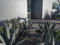 Modern Architecture Courtyard in Los Angeles