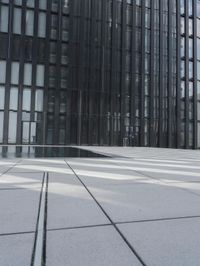 an empty pool in front of a very large building with black windows and glass walls