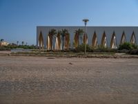 Modern Architecture in Egypt: Palm Trees and Sandy Streets