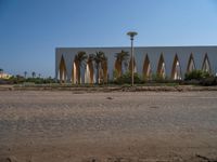 Modern Architecture in Egypt: Palm Trees and Sandy Streets