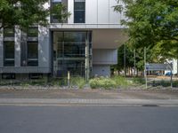 a large building with an entrance on a city street lined by tall green trees, and a small bench near it