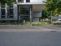 a large building with an entrance on a city street lined by tall green trees, and a small bench near it