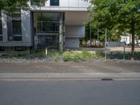 a large building with an entrance on a city street lined by tall green trees, and a small bench near it