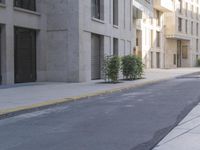 the empty road is between two buildings and a planter with trees in it on the side