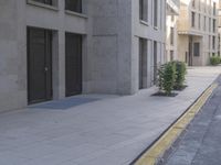 the empty road is between two buildings and a planter with trees in it on the side