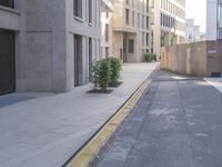 the empty road is between two buildings and a planter with trees in it on the side