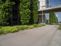 this is a street with bushes and grass along it, one of the walkways leads to the office building