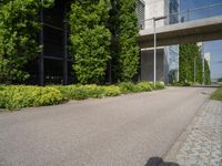 this is a street with bushes and grass along it, one of the walkways leads to the office building