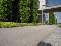 this is a street with bushes and grass along it, one of the walkways leads to the office building