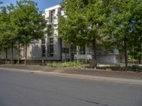 a large building with an entrance on a city street lined by tall green trees, and a small bench near it