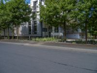 a large building with an entrance on a city street lined by tall green trees, and a small bench near it