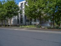 a large building with an entrance on a city street lined by tall green trees, and a small bench near it