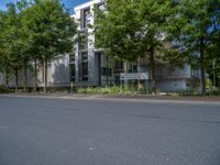 a large building with an entrance on a city street lined by tall green trees, and a small bench near it