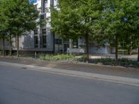 a large building with an entrance on a city street lined by tall green trees, and a small bench near it