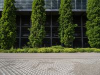 there is a large concrete and brick paved parking lot with a few trees in the background