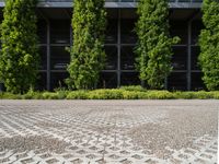 there is a large concrete and brick paved parking lot with a few trees in the background