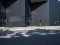 black building with white roof and tall trees in front of it in daytime day with clear blue sky