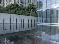 a row of poles sticking out of a glass pool with trees in the background in a city