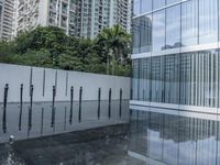 a row of poles sticking out of a glass pool with trees in the background in a city