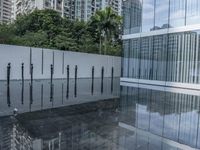 a row of poles sticking out of a glass pool with trees in the background in a city