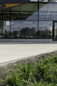 a yellow fire hydrant stands next to a building with a glass front door and green plants in front