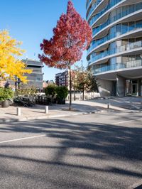 the building is designed like an open area in the city for walking and riding around