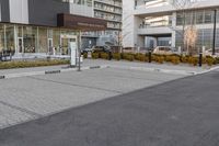 a parking meter in the middle of an empty paved road and surrounded by a city street