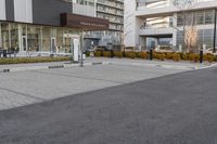 a parking meter in the middle of an empty paved road and surrounded by a city street