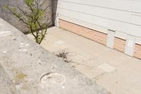 the fire hydrant is on a paved corner of the street near a building in the background