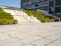 a man riding on top of a skateboard down a concrete stairs set next to plants