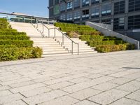 a man riding on top of a skateboard down a concrete stairs set next to plants