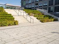 a man riding on top of a skateboard down a concrete stairs set next to plants