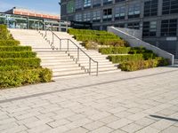 a man riding on top of a skateboard down a concrete stairs set next to plants