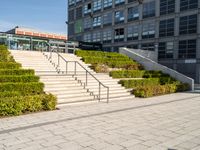 a man riding on top of a skateboard down a concrete stairs set next to plants