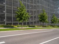 two young trees on the side of an empty road, near a large building in front of a field full of grass