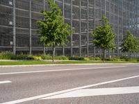 two young trees on the side of an empty road, near a large building in front of a field full of grass