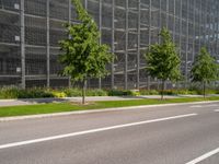 two young trees on the side of an empty road, near a large building in front of a field full of grass