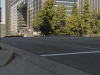 Modern Architecture in the USA