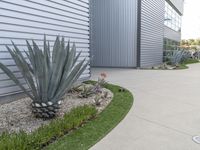 a concrete walkway that leads to a garage and a flowerbed at the side of the house