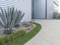 a concrete walkway that leads to a garage and a flowerbed at the side of the house