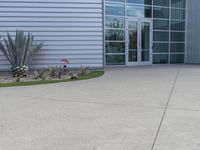 two men are walking past a building with large windows and grass around the door,