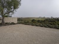 a large stone wall with some trees on top of it in the foggy day