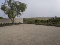 a large stone wall with some trees on top of it in the foggy day